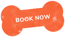 https://staging.palmettopawz.com/wp-content/uploads/2019/07/text_01.png