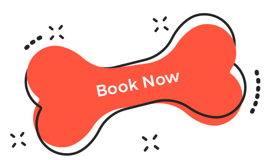 https://staging.palmettopawz.com/wp-content/uploads/2019/08/book_now.png