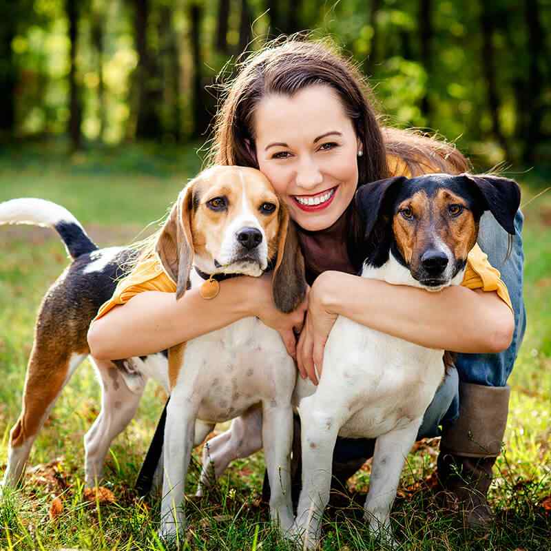 https://staging.palmettopawz.com/wp-content/uploads/2019/08/inner_gallery_12.jpg